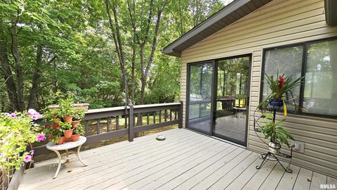 Tiny photo for 12196 LAGUNA Drive, Marion, IL 62959 (MLS # EB459507)