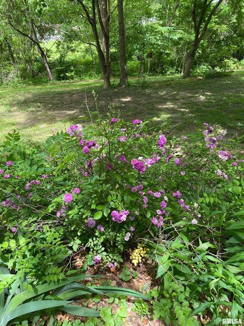 Tiny photo for 12196 LAGUNA Drive, Marion, IL 62959 (MLS # EB459507)