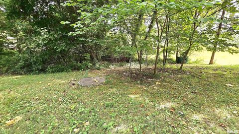 Tiny photo for 12196 LAGUNA Drive, Marion, IL 62959 (MLS # EB459507)