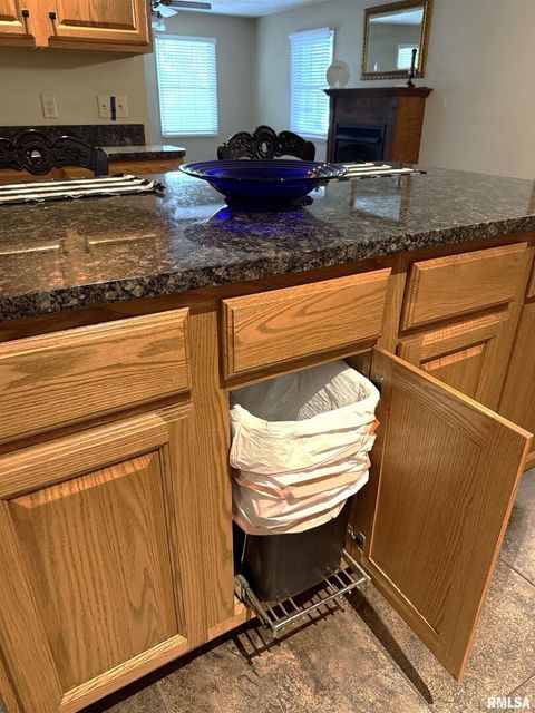 Tiny photo for 12196 LAGUNA Drive, Marion, IL 62959 (MLS # EB459507)