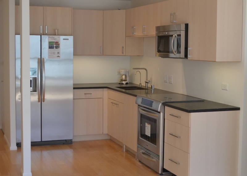 405 N Wabash Avenue 1307