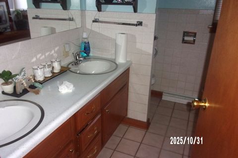 Tiny photo for 407 E Pine Street, Chatsworth, IL 60921 (MLS # 12508559)