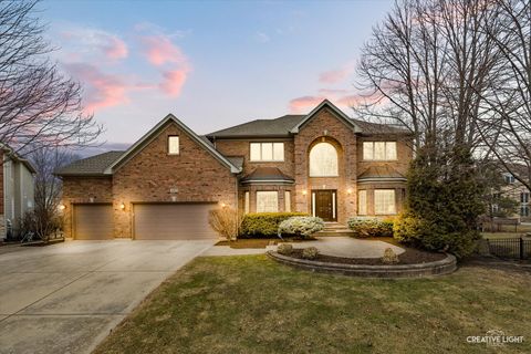 3415 MINITO Court Naperville IL 60564