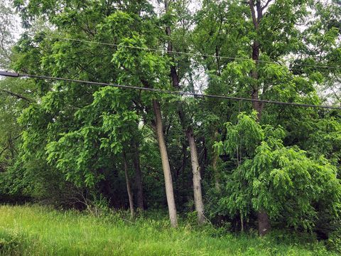 Lot 1573 Lake Wildwood Drive Varna IL 61375