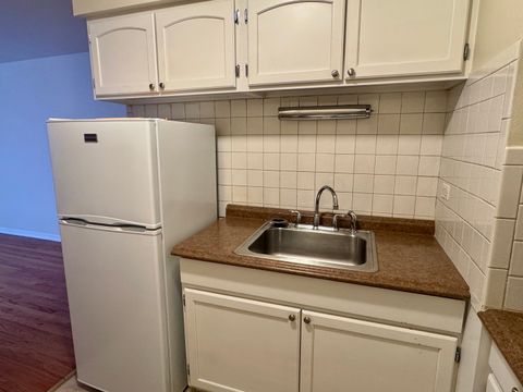 Tiny photo for 420 W Aldine Avenue #406, Chicago, IL 60657 (MLS # 12458109)