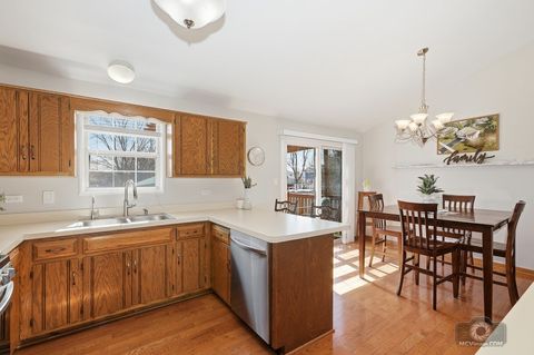 Tiny photo for 7415 W Braemar Lane W, Frankfort, IL 60423 (MLS # 12594660)