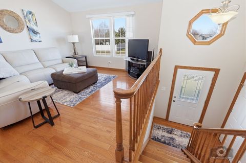 Tiny photo for 7415 W Braemar Lane W, Frankfort, IL 60423 (MLS # 12594660)