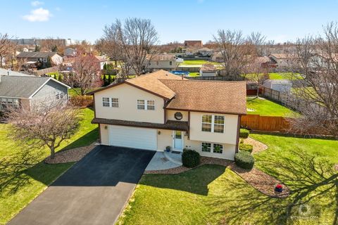 Photo of 7415 W Braemar Lane W, Frankfort, IL 60423 (MLS # 12594660)