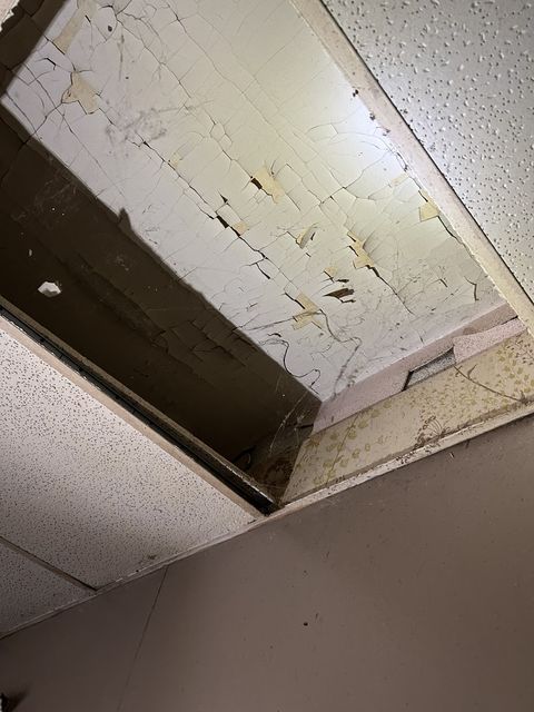 Tiny photo for 1619 S Faraday Avenue, Peoria, IL 61605 (MLS # 12566742)