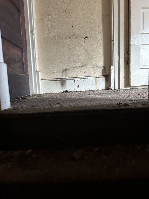 Tiny photo for 1619 S Faraday Avenue, Peoria, IL 61605 (MLS # 12566742)