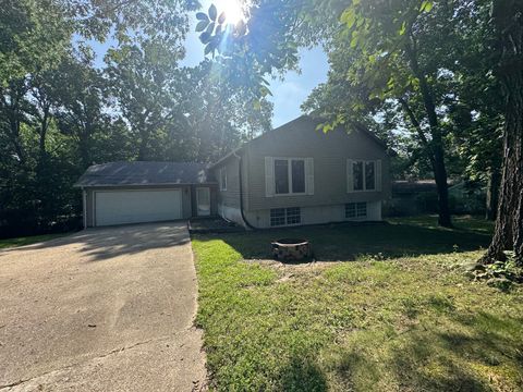 Photo of 251 Illini Drive, Sparland, IL 61565 (MLS # 12476359)