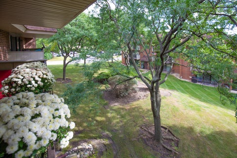 Tiny photo for 211 E JANATA Avenue #3B, Lombard, IL 60148 (MLS # 12768854)
