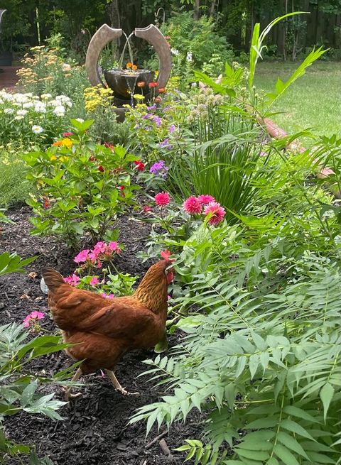 Tiny photo for 5549 Laurel Avenue, La Grange Highlands, IL 60525 (MLS # 12570937)