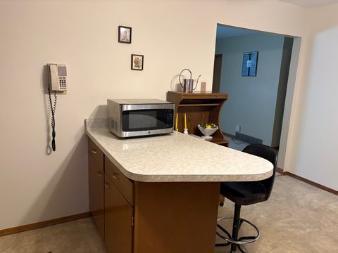 Tiny photo for 215 Phyllis Avenue, Rochelle, IL 61068 (MLS # 12594717)