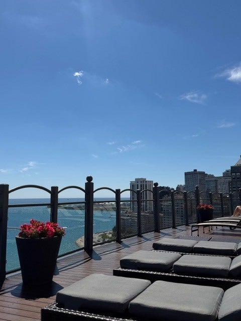 Tiny photo for 1150 N LAKE SHORE Drive #18L, Chicago, IL 60611 (MLS # 12791153)