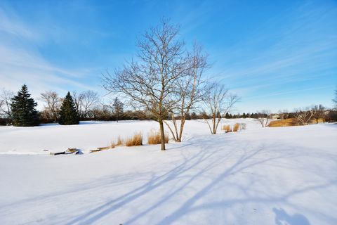 Tiny photo for 23 Red Tail Drive, Hawthorn Woods, IL 60047 (MLS # 12551861)