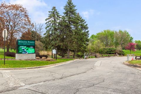 Tiny photo for 429 Rose Street, Bensenville, IL 60106 (MLS # 12625421)