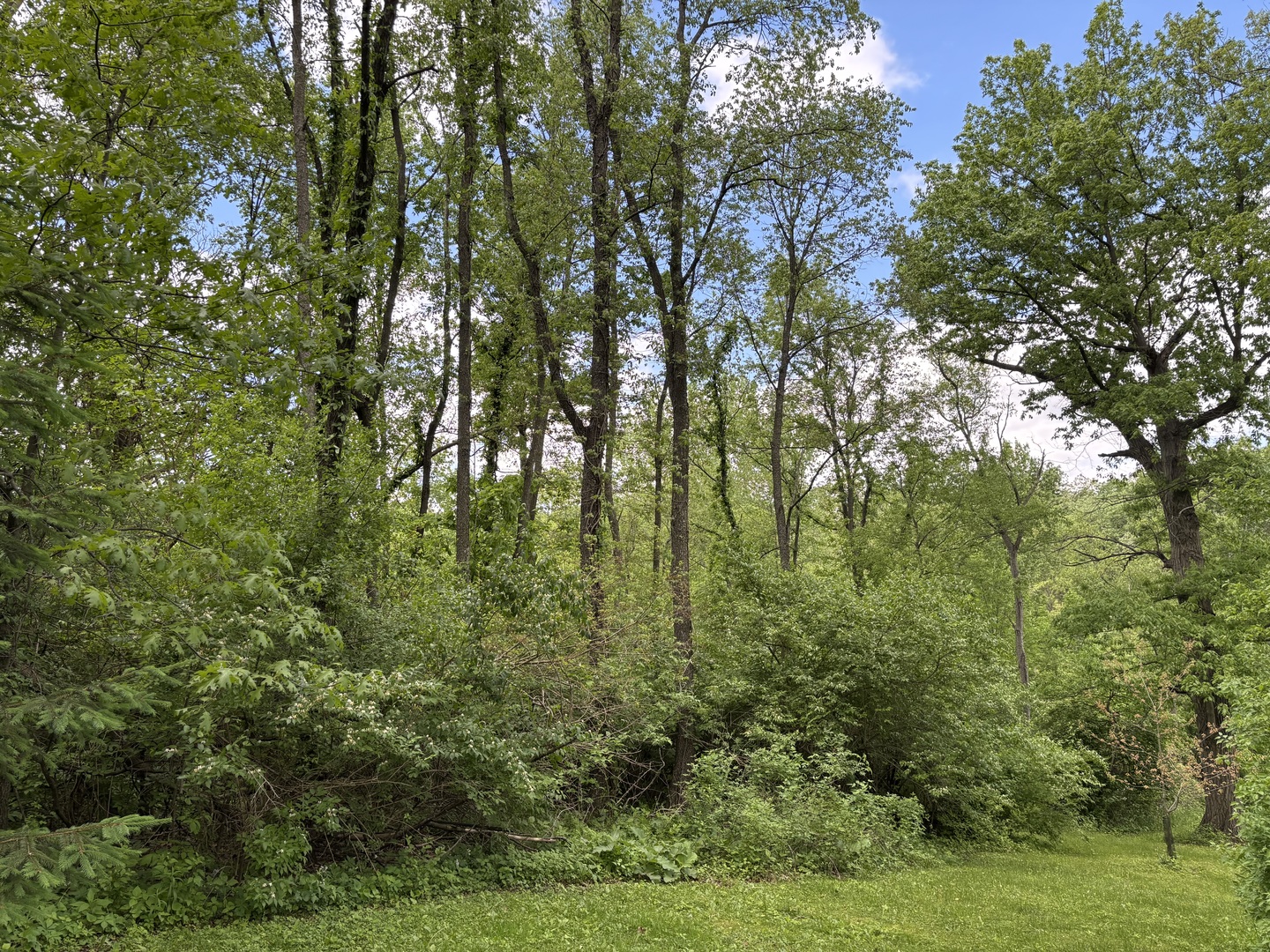 4N624 Snowbird Court