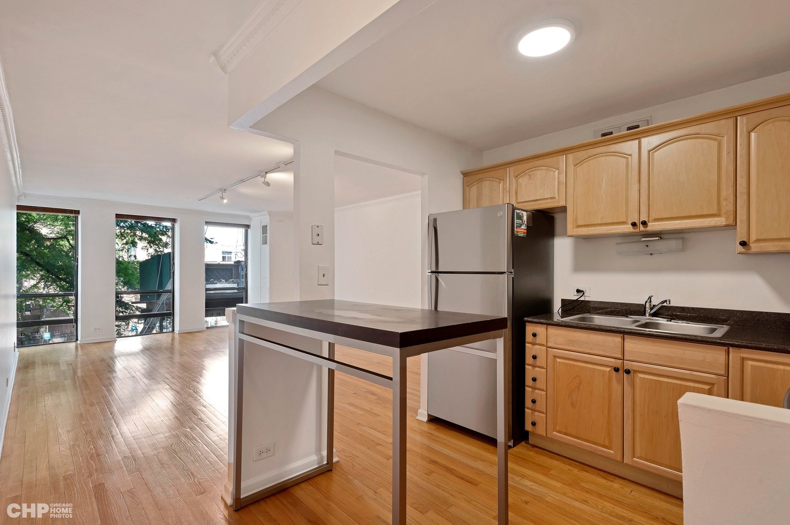 1660 N La Salle Drive 204