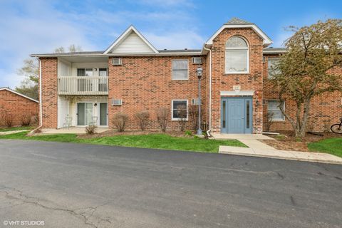 1347 Cunat Court 2A Lake In The Hills IL 60156