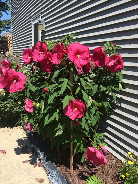 Tiny photo for 3195 Village Green Drive, Aurora, IL 60504 (MLS # 12613264)