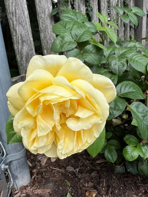 Tiny photo for 3195 Village Green Drive, Aurora, IL 60504 (MLS # 12613264)