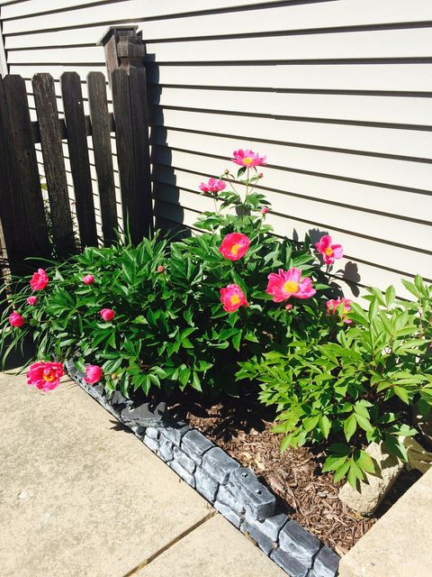 Tiny photo for 3195 Village Green Drive, Aurora, IL 60504 (MLS # 12613264)