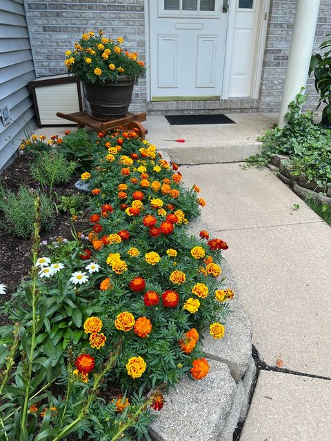 Tiny photo for 3195 Village Green Drive, Aurora, IL 60504 (MLS # 12613264)