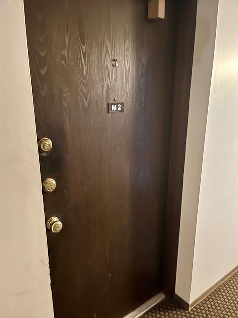 Tiny photo for 5515 Cromwell Lane #M2, Oak Forest, IL 60452 (MLS # 12533284)