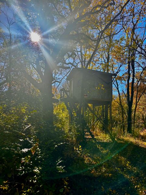 Tiny photo for 7035 E Scully Road, Gardner, IL 60424 (MLS # 12519182)