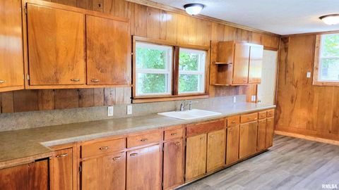 Tiny photo for 111 S Wilmington Avenue, Orient, IL 62874 (MLS # EB460248)