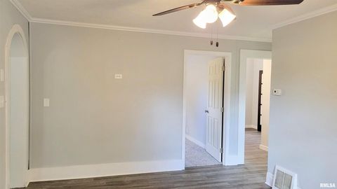 Tiny photo for 111 S Wilmington Avenue, Orient, IL 62874 (MLS # EB460248)