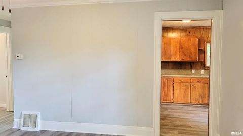 Tiny photo for 111 S Wilmington Avenue, Orient, IL 62874 (MLS # EB460248)