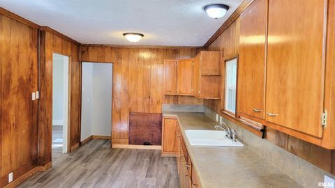 Tiny photo for 111 S Wilmington Avenue, Orient, IL 62874 (MLS # EB460248)