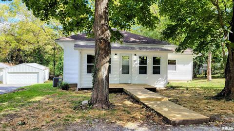 Photo of 111 S Wilmington Avenue, Orient, IL 62874 (MLS # EB460248)