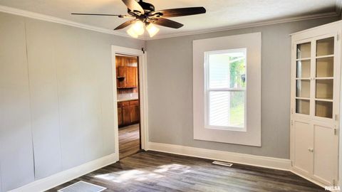 Tiny photo for 111 S Wilmington Avenue, Orient, IL 62874 (MLS # EB460248)