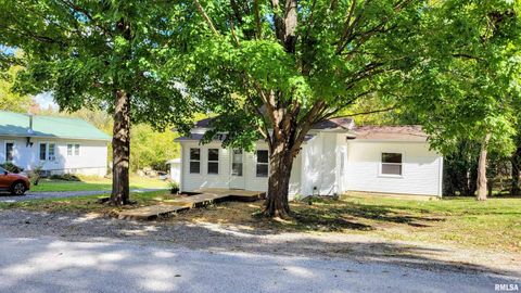 Tiny photo for 111 S Wilmington Avenue, Orient, IL 62874 (MLS # EB460248)