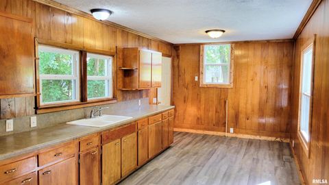 Tiny photo for 111 S Wilmington Avenue, Orient, IL 62874 (MLS # EB460248)