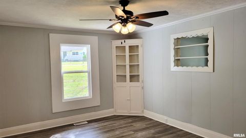 Tiny photo for 111 S Wilmington Avenue, Orient, IL 62874 (MLS # EB460248)