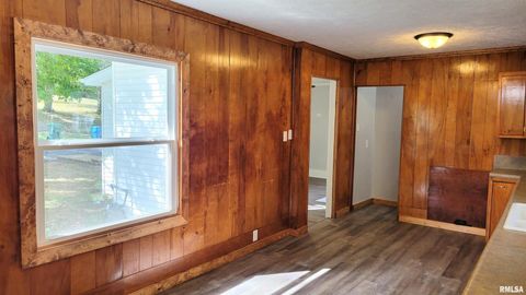 Tiny photo for 111 S Wilmington Avenue, Orient, IL 62874 (MLS # EB460248)