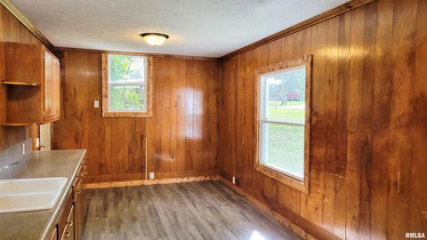 Tiny photo for 111 S Wilmington Avenue, Orient, IL 62874 (MLS # EB460248)