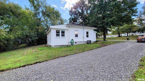Tiny photo for 111 S Wilmington Avenue, Orient, IL 62874 (MLS # EB460248)