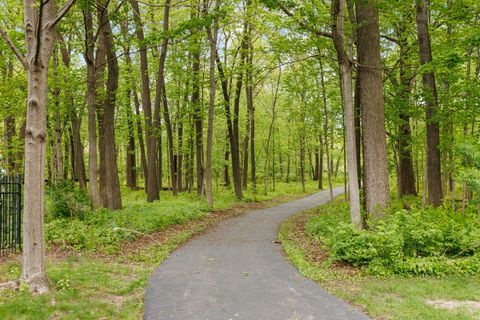 Tiny photo for 17004 Arbor Creek Drive, Plainfield, IL 60586 (MLS # 12637077)