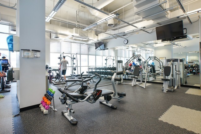 655 W Irving Park Road 1114