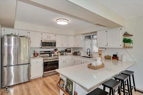 Tiny photo for 426 S Walnut Street, Manteno, IL 60950 (MLS # 12597815)