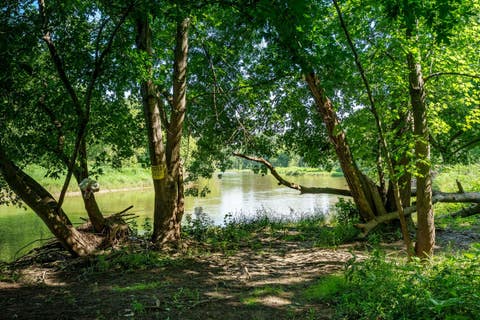 Tiny photo for 8321 Blomberg Road, Cherry Valley, IL 61016 (MLS # 12669835)