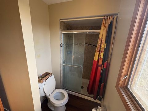 Tiny photo for Frankfort, IL 60423 (MLS # 12536880)