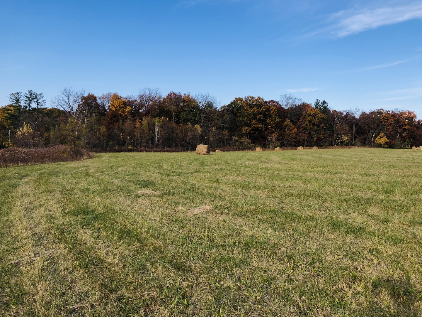 3114 Millstream (Lot 1) Road