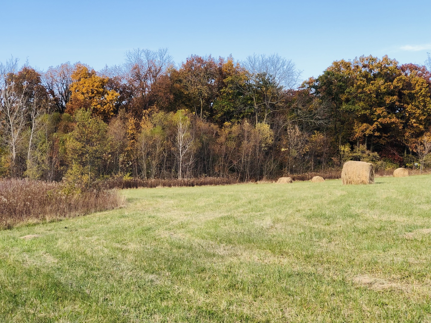 3114 Millstream (Lot 1) Road