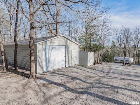 Tiny photo for 565 Dutton Chapel Road, Golconda, IL 62938 (MLS # EB457611)